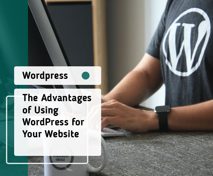 The Advantages Of Using WordPress For Your Website - Vortexica